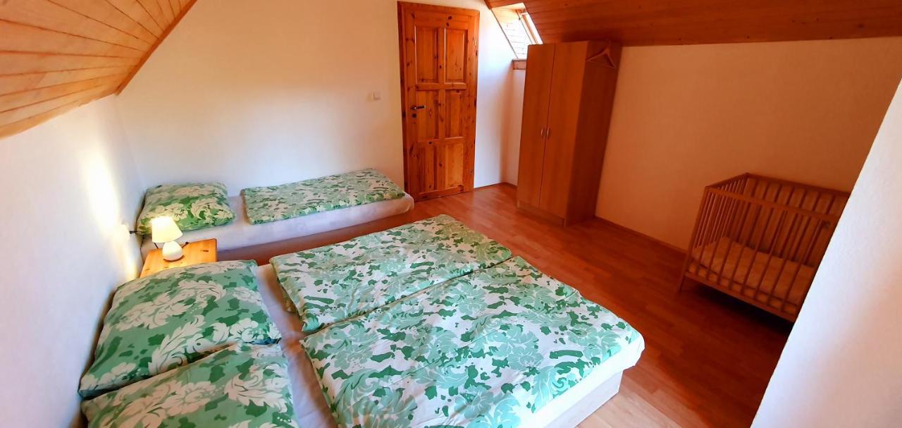Vilka Cibulka A Chata Cesnacik Ižipovce Extérieur photo